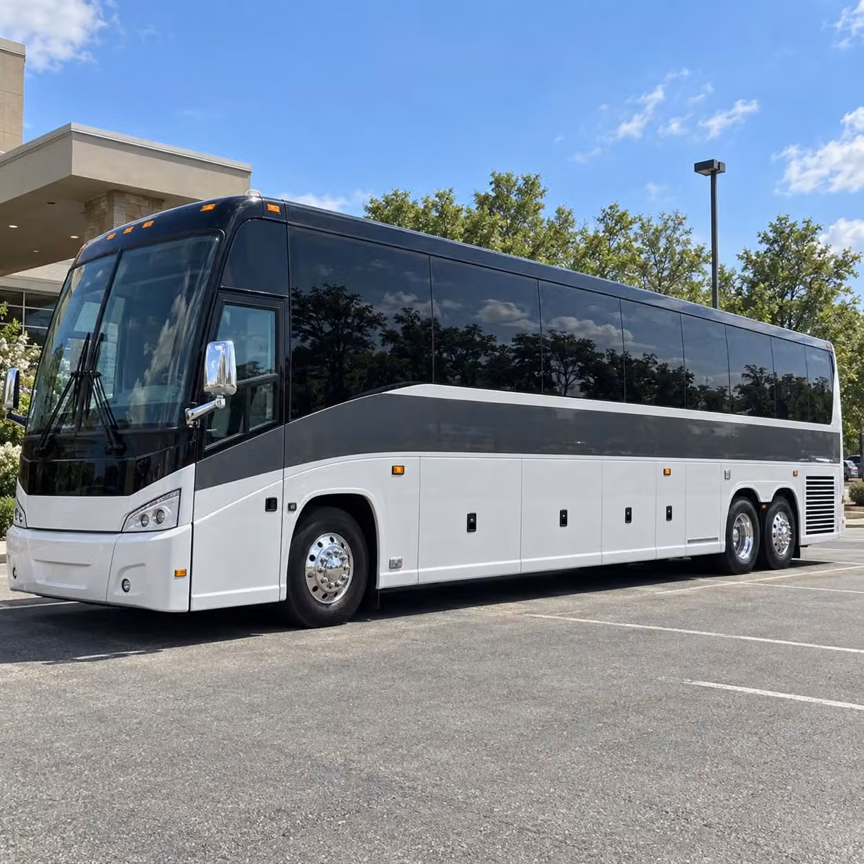 detroit tigers red wings pistons game day field trip transportation